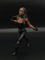 Frenzy (Classic) (Marvel Legends) Custom Action Figure