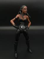 Frenzy (Classic) (Marvel Legends) Custom Action Figure