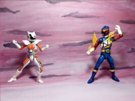 Dark Ranger (Power Rangers) Custom Action Figure