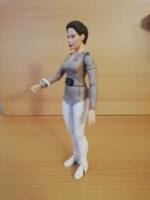 Christine Chapel (Star Trek I: The Motion Picture) - DST (Star Trek) Custom Action Figure
