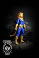 Pantha (DC Universe) Custom Action Figure