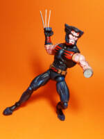 AOA Wolverine (Marvel Legends) Custom Action Figure