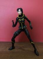 Cassandra Cain (DC Multiverse) Custom Action Figure