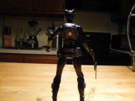 Catwoman (DC Universe) Custom Action Figure