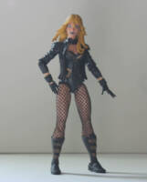 Black Canary (DC Universe) Custom Action Figure