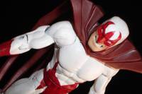 Hawk (DC Direct) Custom Action Figure