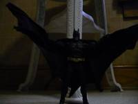 Batman (Batman - Movie Style) Custom Action Figure