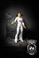 Phantom Girl (70s costume) (Legion of Superheroes) Custom Action Figure