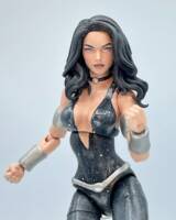 Donna Troy (Teen Titans) Custom Action Figure