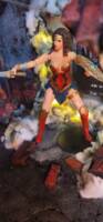 Wonder Woman and her Amazon Army (DC Multiverse) Custom Action Figure