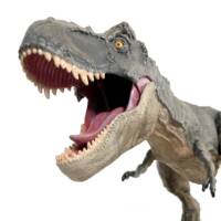 Tyrannosaurus Rex (T-Rex) repainted as V-Rex (King Kong 2005) (Jurassic Park) Custom Action Figure