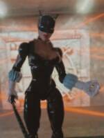 catwoman #3 (Marvel) Custom Action Figure