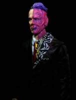 Batman Forever Two Face Tommy Lee Jones (Batman - Movie Style) Custom Action Figure
