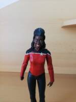 Captain Freeman (Star Trek: Lower Decks) - DST (Star Trek) Custom Action Figure