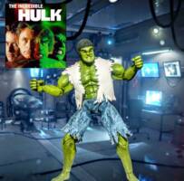 '70s '80s series Lou Ferrigno Hulk (Incredible Hulk) Custom Action Figure