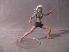 Dolphin (DC Infinite Heroes) Custom Action Figure