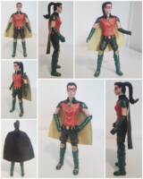 Robin (helena wayne) (DC Universe) Custom Action Figure