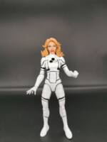 Invisible Woman (Future Foundation) V2 (Marvel Legends) Custom Action Figure