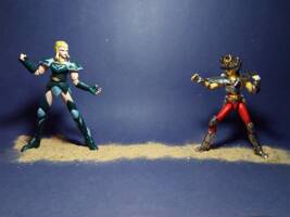 Belenguer (coma berenices) (Saint Seiya) Custom Action Figure