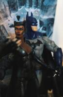 Catwoman double special (Marvel Legends) Custom Action Figure