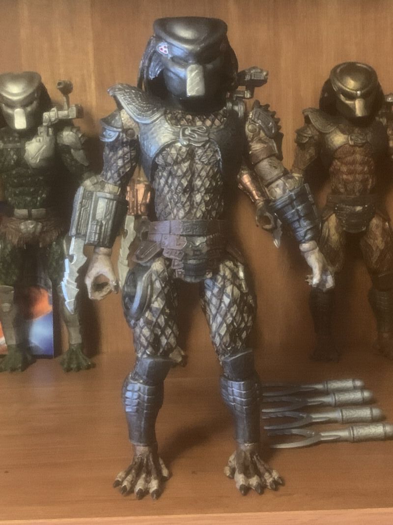 predator scout
