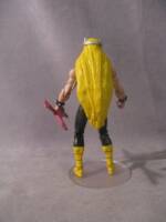 Valhallen (Dexter's Lab) Custom Action Figure