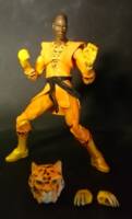 Bronze Tiger (DC Infinite Heroes) Custom Action Figure