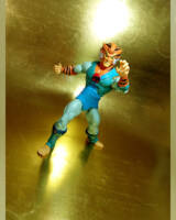 Tygra repaint (Thundercats) Custom Action Figure