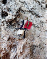 Gak Darpash (Star Wars) Custom Action Figure