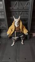 Reiko (Star Wars) Custom Action Figure