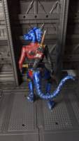 Challa (VFC) (Dungeons and Dragons) Custom Action Figure