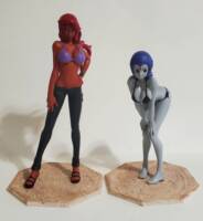 Beach Starfire & Raven (Teen Titans) Custom Statue / Bust