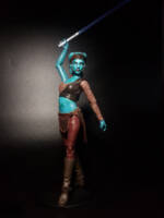Aayla Secura (Star Wars) Custom Action Figure