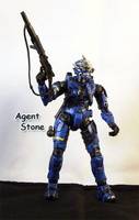 Blue Hayabusa (Halo) Custom Action Figure
