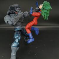 Polaris (Age of Apocalypse) (Marvel Legends) Custom Action Figure