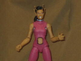 Chameleon Girl (Legion of Superheroes) Custom Action Figure