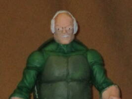 Turtle Man-custom #1000 (DC Multiverse) Custom Action Figure