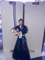Yojimbo Toshiro Mifune Sanjuro Mulberry Kurosawa Samurai (Samurai) Custom Action Figure