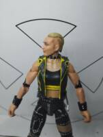 Black Canary (DCEU) (DC Multiverse) Custom Action Figure