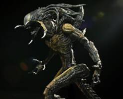 Predalien (Alien Vs. Predator Requiem) Custom Action Figure