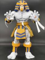 Anarkis (Marvel vs Capcom) Custom Action Figure