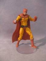 Catman (DC Multiverse) Custom Action Figure