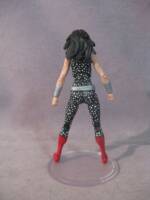 Wonder Girl (Amalgam) Custom Action Figure