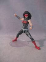 Wonder Girl (Amalgam) Custom Action Figure