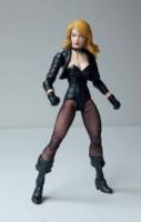 Black Canary (DC Multiverse) Custom Action Figure