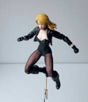 Black Canary (DC Multiverse) Custom Action Figure
