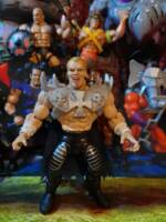 Rick rude and Gangrel (Masters of the Universe) Custom Action Figure