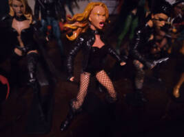 Black Canary (Marvel Legends) Custom Action Figure
