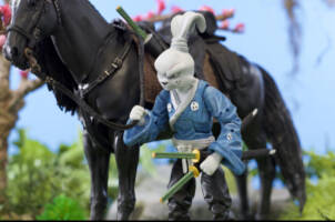 Miyamoto Usagi (Teenage Mutant Ninja Turtles) Custom Action Figure