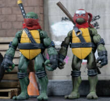 Shinobi TMNT (Teenage Mutant Ninja Turtles) Custom Action Figure